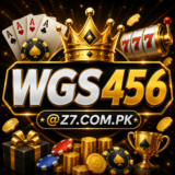 WGS456-Game